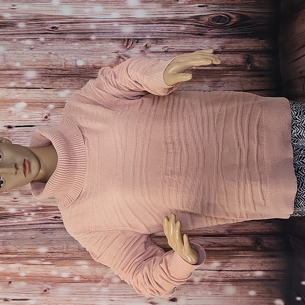 NWOT Any Body Women's Turtleneck Cozy Long Sleeve Sweater Size S